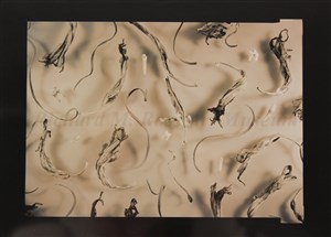 Image description is not available for 1996.005